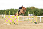 SBM_019036