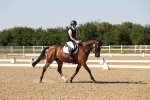 SBM_006460