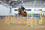 Class 5 - Senior Foxhunter 1.20m portfolio