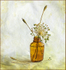 Seedheads in Brown bottle