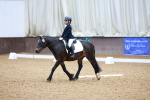 SBM_001231