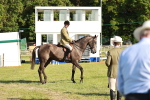 SBM_20161