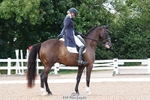 Cls 64 FEI Grand Prix Inc Presentations portfolio