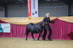 SBM_19631