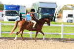 SBM_08108