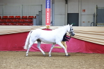 SBM_22263