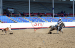 3HRodeo8-11-25_PRCASteer_01930_