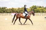 SBM_018184