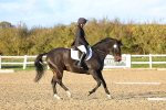 SBM_003346