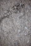 SBM_005483
