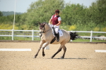 SBM_009508