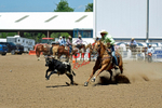 3HRodeo8-11-25_PRCASteer_06365_