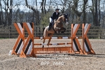 BPP_7440