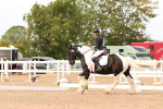 SBM_03844