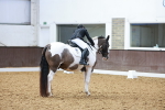 SBM_008786