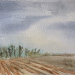 Early morning