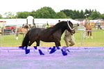 SBM_00480