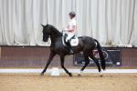 SBM_001880
