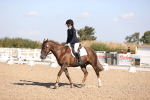 SBM_01875