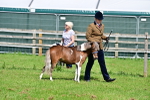 SBM_03534