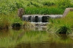 Waterfall in River Lin - Bradgate Park