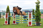 EQUISCOT 9250