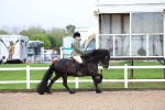 SBM_00248