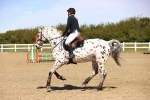 SBM_001533