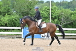 Cls 3 Foxhunter portfolio