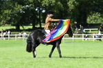 SBM_47056