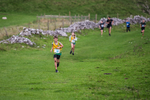 Dovedale Junior-51