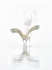Sandhill Cranes In Spring Fog-Vertical