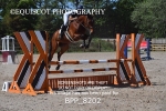 BPP_8202