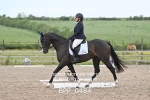 BPP_0484