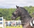 BPP_3461