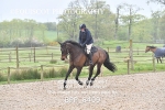 BPP_8499