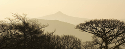 Great Sugar Loaf Panoramic