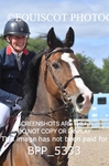 CLASS 15  Senior Foxhunter/ 1.20m Open portfolio