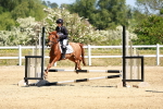 SBM_007493