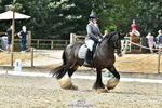 260801A-121555-03865