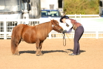 SBM_07994