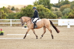 SBM_009069