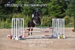 CLASS 4 SAT Senior Discovery/ 1m Open portfolio