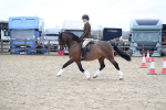 SBM_006385