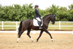 SBM_005271