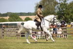 SBM_16103