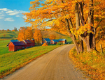 Istock #17483136