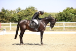 SBM_004037