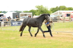 SBM_04275