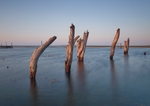 Posts - Thornham